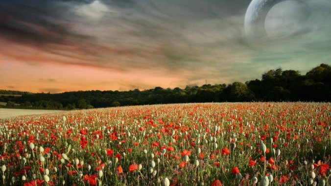 如何看待rust编写的zed编辑器？